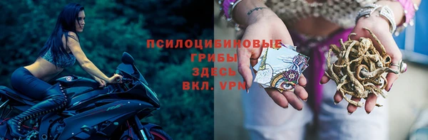 метадон Липки