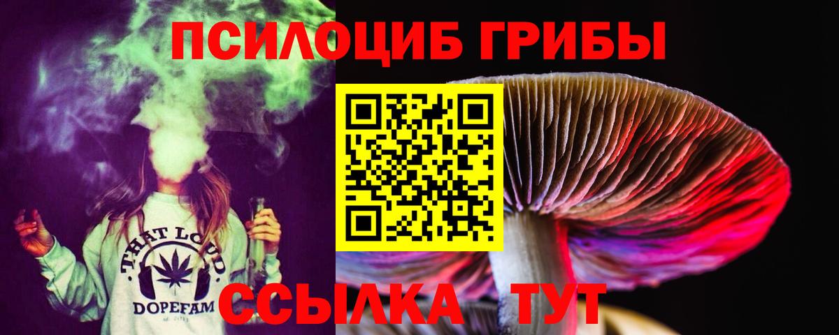 Галлюциногенные грибы MAGIC MUSHROOMS Березники