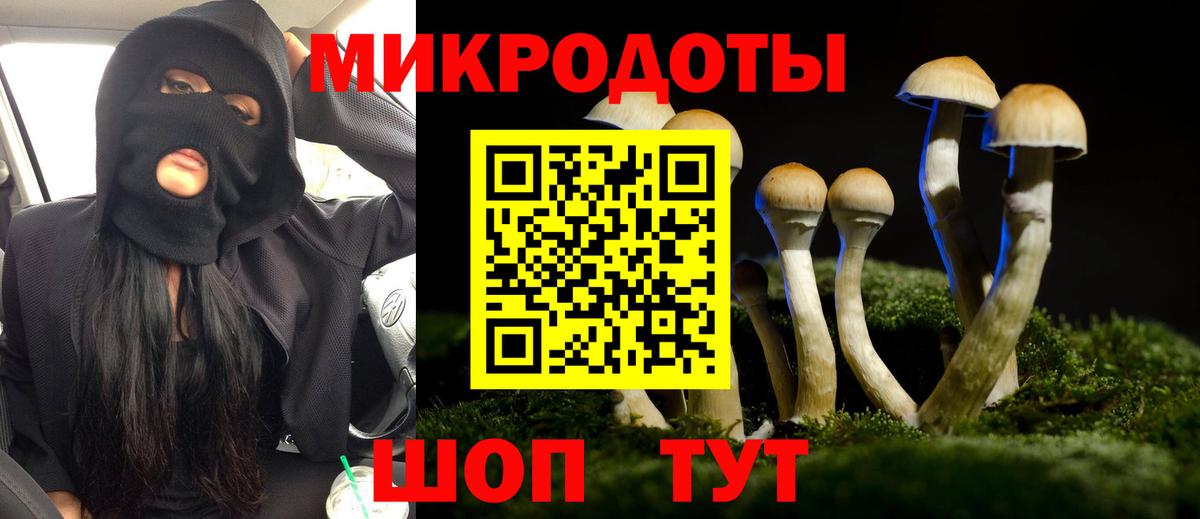 Галлюциногенные грибы GOLDEN TEACHER Березники