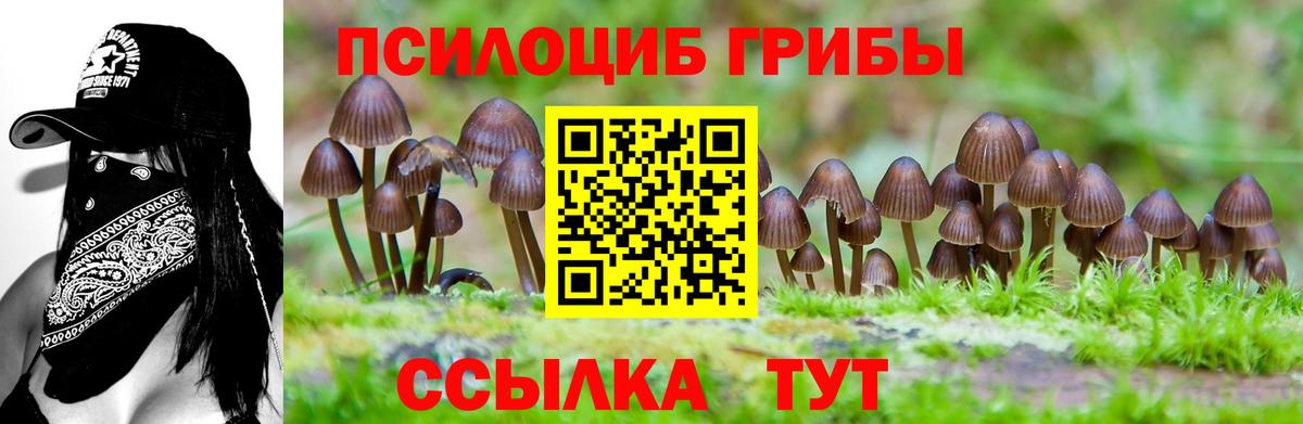 Псилоцибиновые грибы GOLDEN TEACHER  Березники  Псилоцибиновые грибы MAGIC MUSHROOMS 