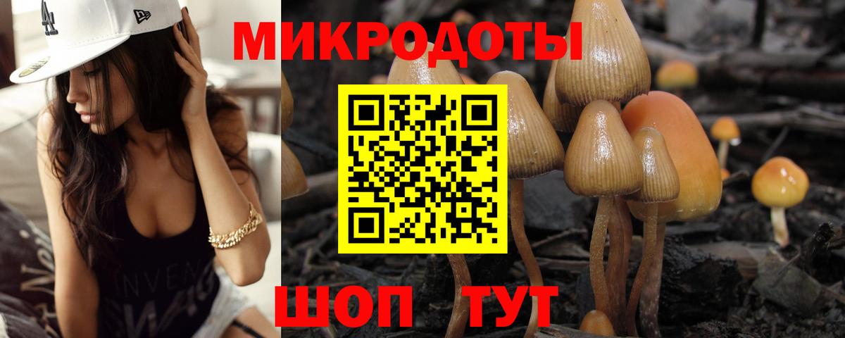 Галлюциногенные грибы мицелий  Вход с VPN  Березники 